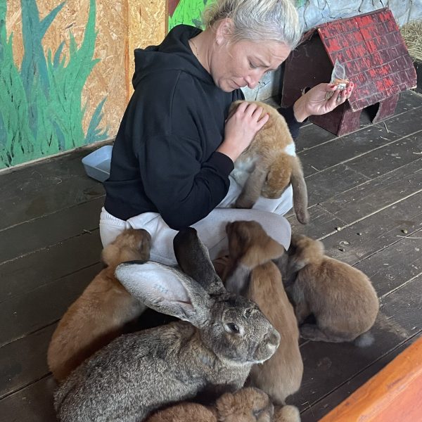 zoo i alpaki w Olecku - tylko w Zjawiskolandzie - króliki biegnące do właścicielki